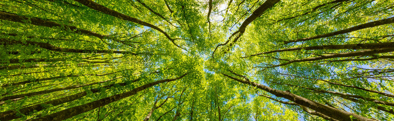 EconSight green technologies EconSight green technologies