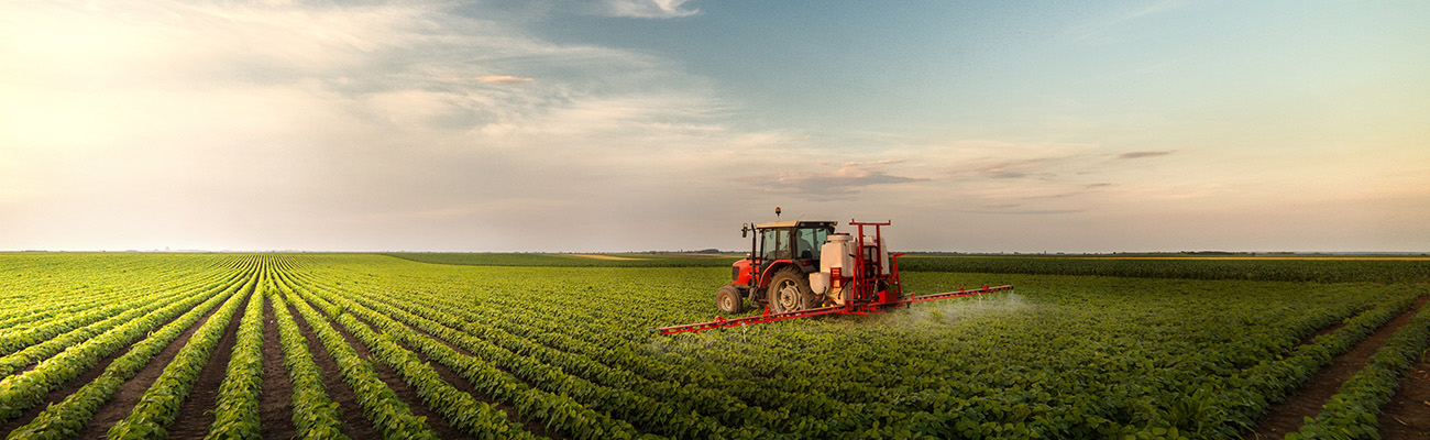Climate Efficient Agriculture Production