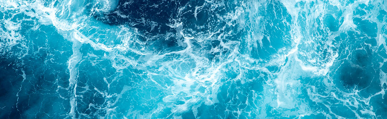 future water future water