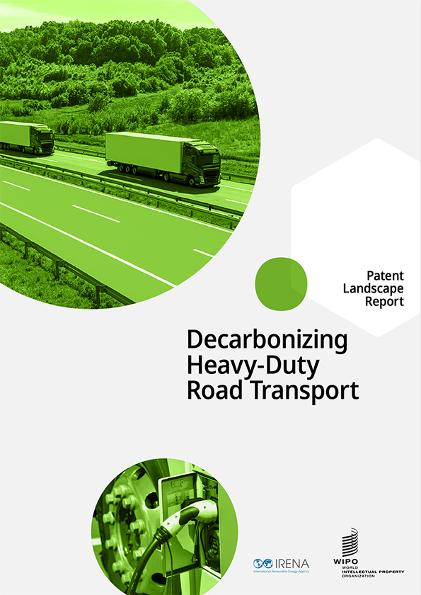 Decarbonizing Heavy-Duty Road Transport