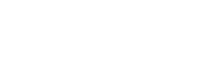 Logo DWS2